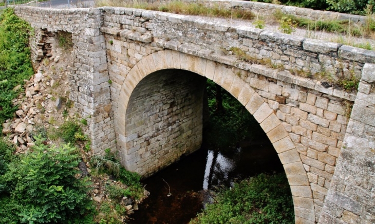 Pont-Vieux sur Le Langouyrou - Langogne