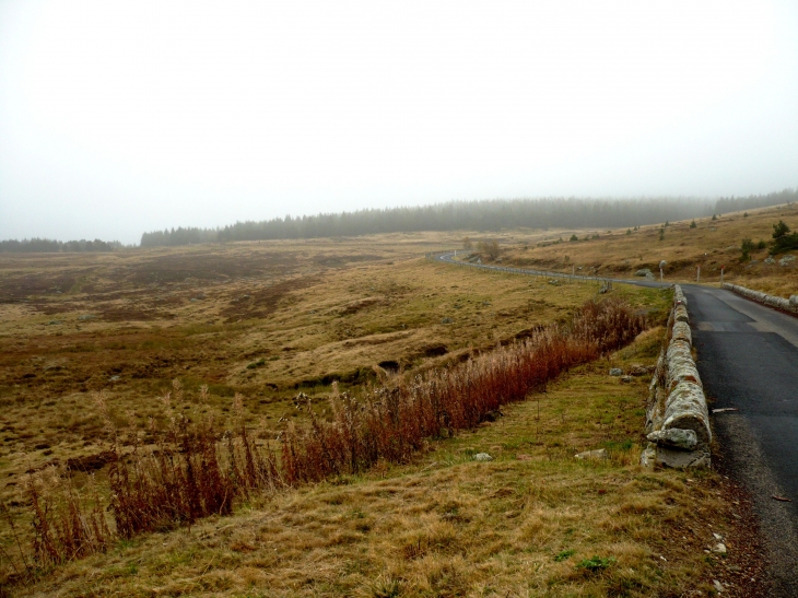 D20 vers le col de Finiels. - Le Bleymard