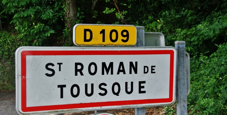 St Roman-de-Tousque ( Commune de Moissac ) - Moissac-Vallée-Française