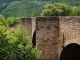  Pont Médiévale sur le Tarn