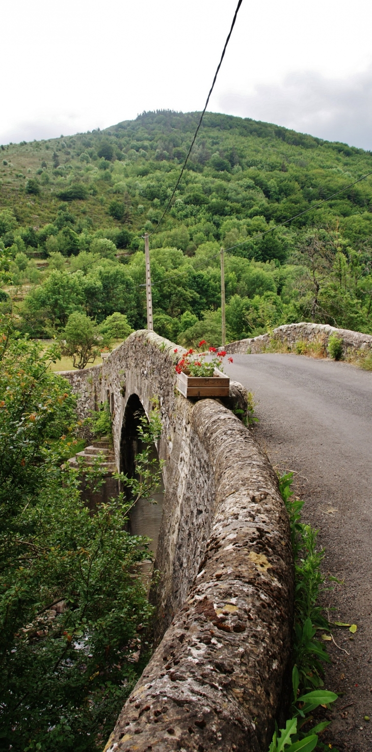 Pont sur le Tarnon - Rousses