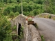 Photo précédente de Rousses pont sur le Tarnon