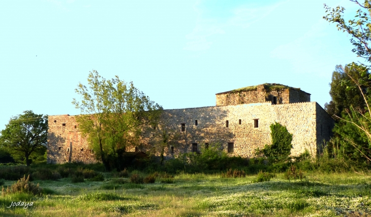 Argelès sur Mer.  - Argelès-sur-Mer