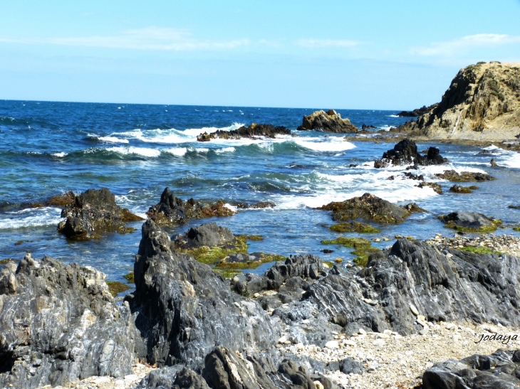 Argelès sur Mer. Sentier du littoral.  - Argelès-sur-Mer