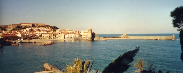 L'anse et son port - Collioure