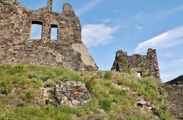 Ruines du Château - Le Vivier