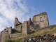 Photo précédente de Le Vivier Ruines du Château