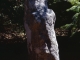 Chadebec, le menhir du Pilard, avril 1997.