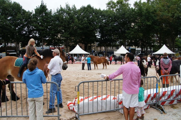 Le Festival de l'élevage 2013. - Brive-la-Gaillarde