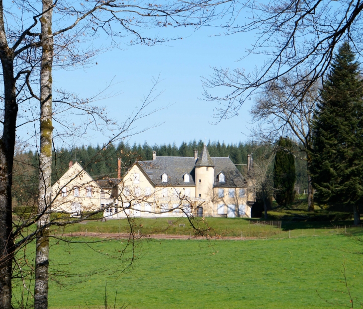 Le château de l'Ebraly fut construit au XVe siècle, remanié aux XIXe siècle. - Ussel