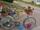 Photo suivante de Chard Vélo fleuri