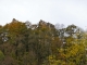 Ruines du Château de Chalucet.