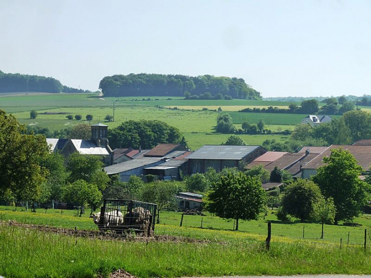 Vue sur le village - Autréville-Saint-Lambert