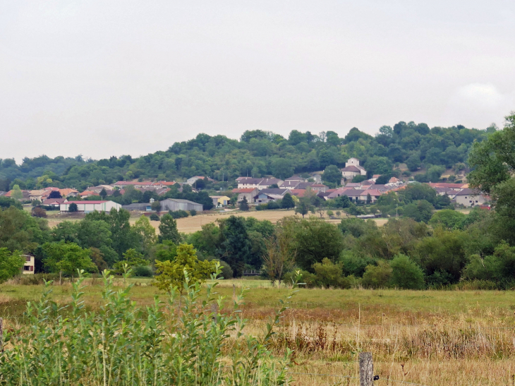 Vue sur le village - Brixey-aux-Chanoines