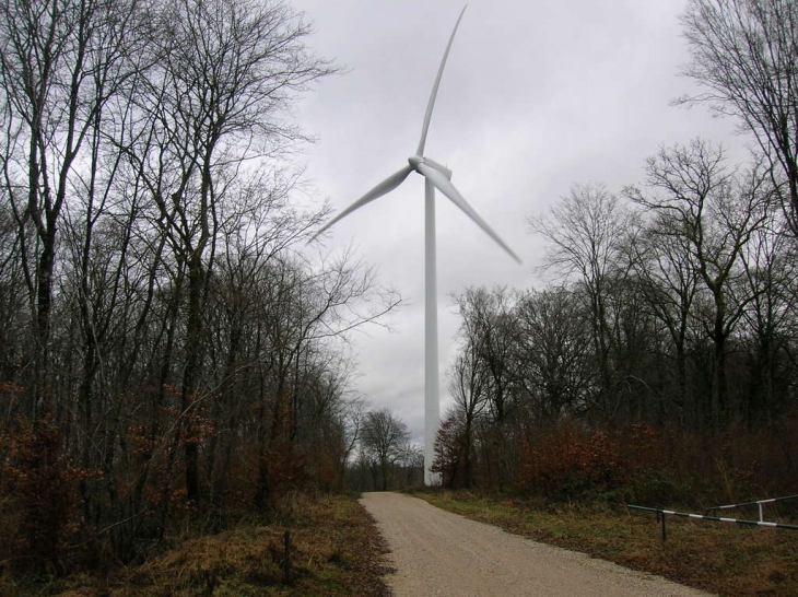 Les éoliennes dans le grand bois - Houdelaincourt
