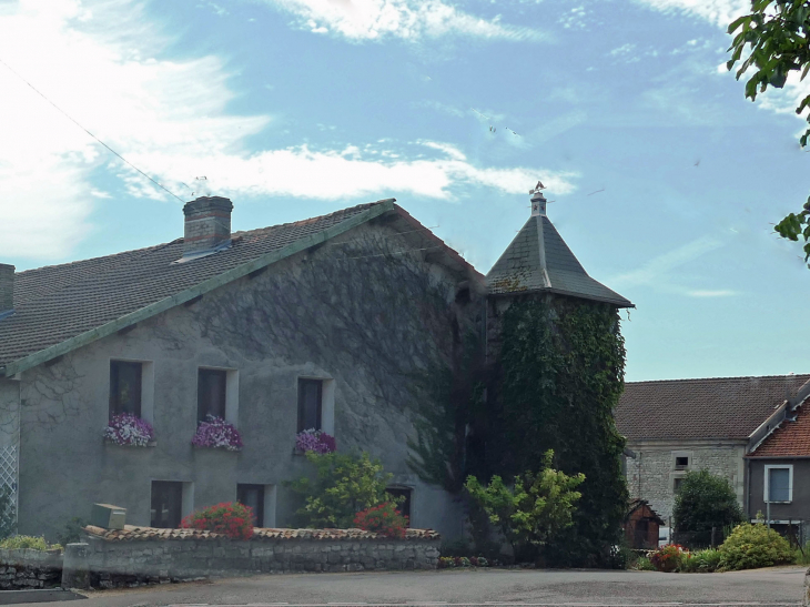 Maisons du village - Houdelaincourt