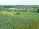 Village 2008
