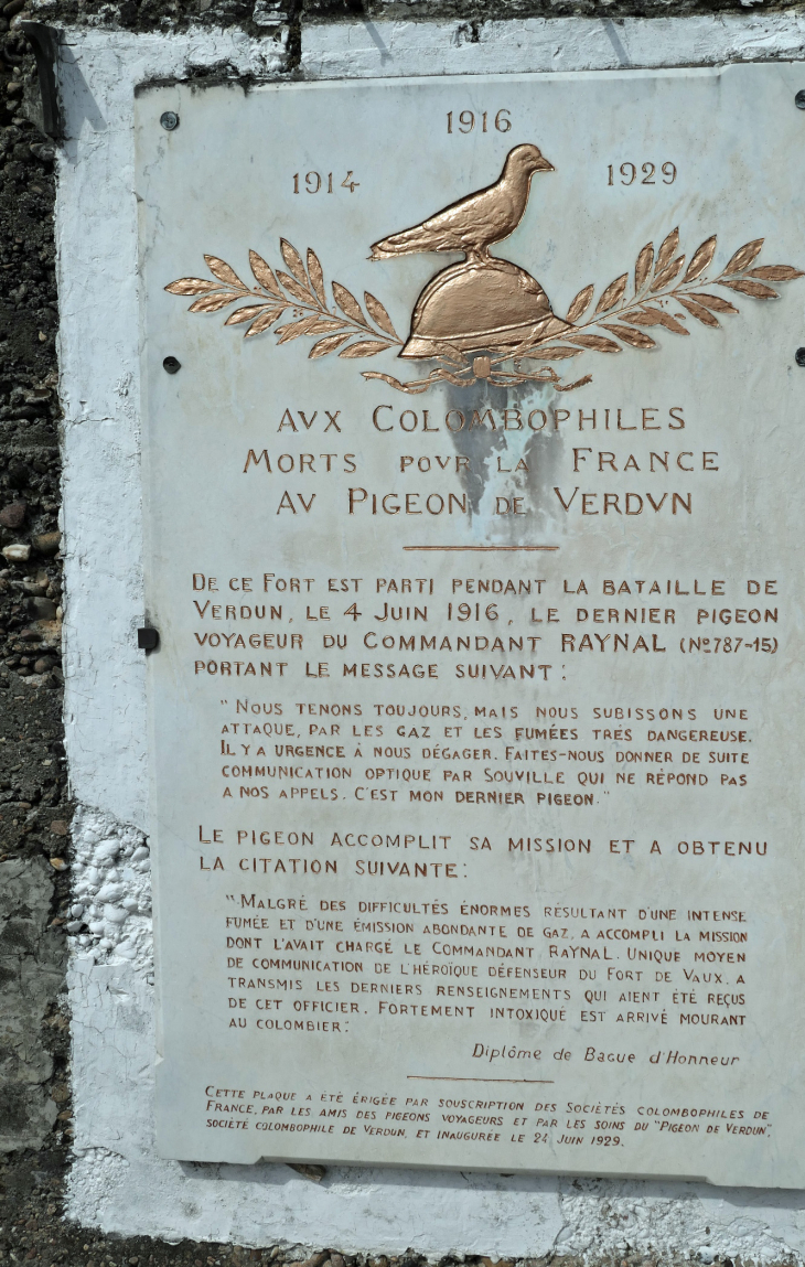 Hommage au dernier pigeon du fort mort pour la France - Vaux-devant-Damloup