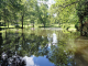 Lettenbourg : l'étang