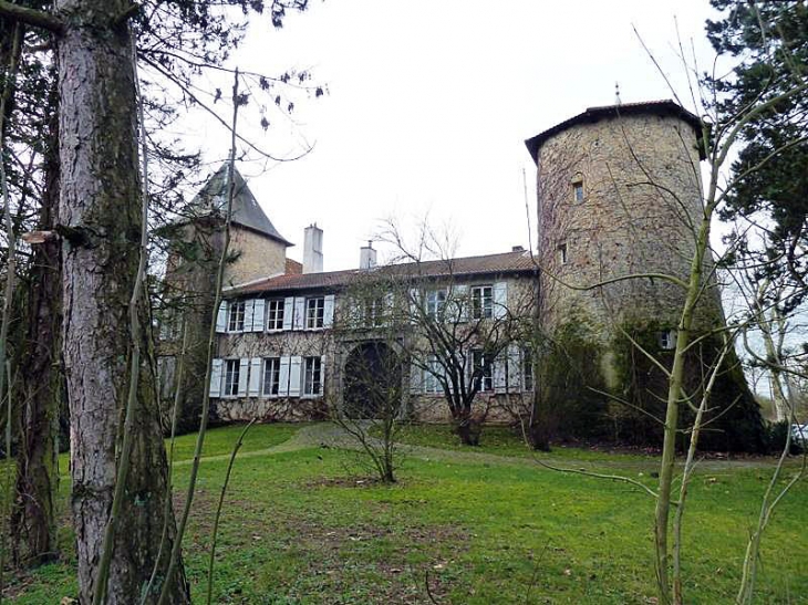 Le château - Les Étangs