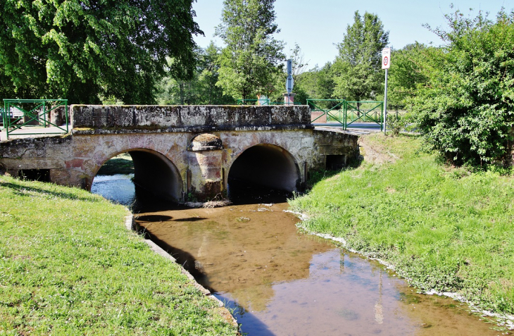 La Saône - Attigny