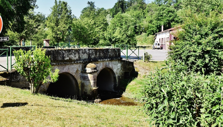 La Saône - Attigny