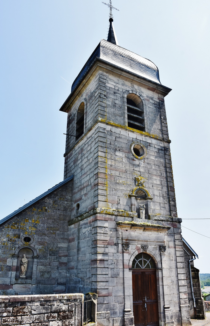 ++église St Pierre - Bleurville