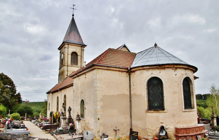  église Saint-Pierre - Fremifontaine