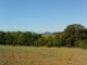 Prés, collines autour de Puzieux