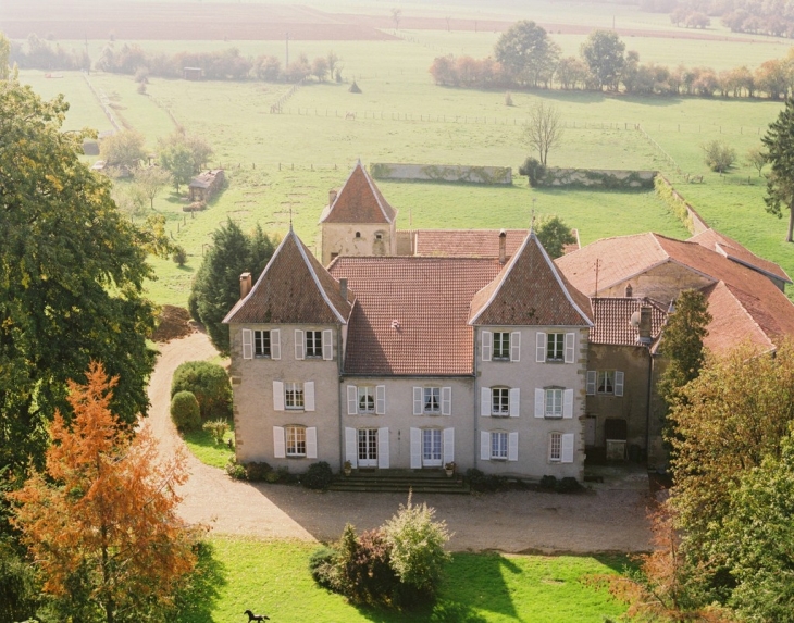 Le chateau de saulxures - Saulxures-lès-Bulgnéville