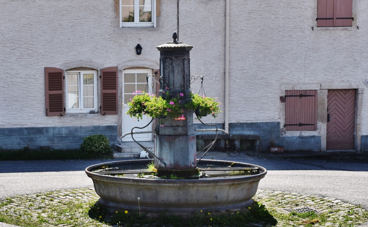 Fontaine - Vioménil