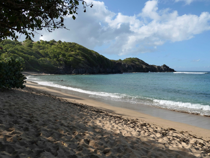 L'anse l'Etang : la plage - La Trinité