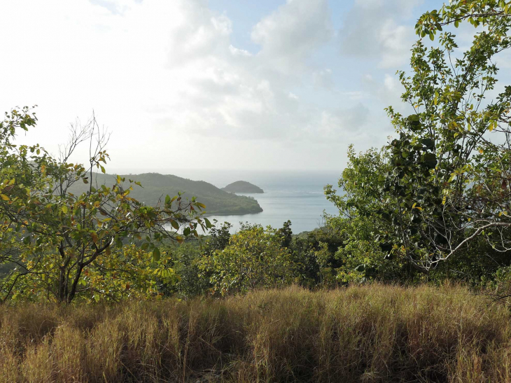 Presqu'île de la Caravelle : vue sur la baie du Trésor - La Trinité