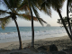 Photo suivante de Le Diamant la plage bordée de cocotiers
