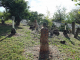 le tombeau des Caraïbes : mémorial du suicide des indiens chassés par les colons