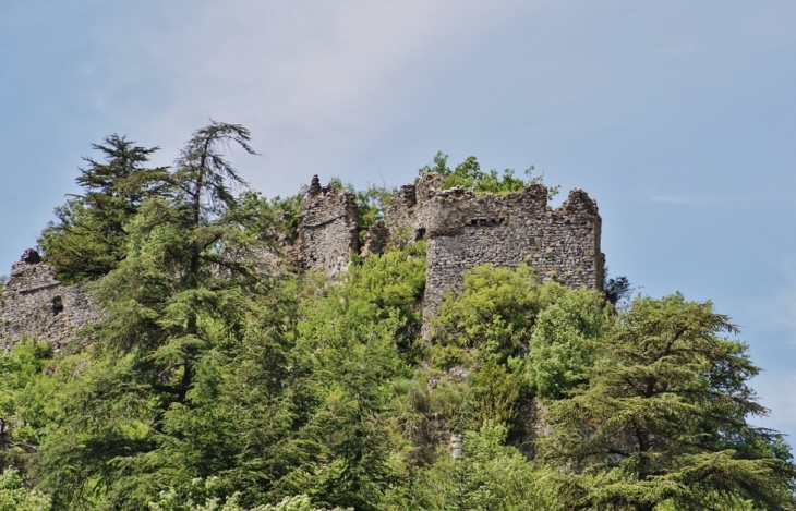 Ruines du Château - Brusque