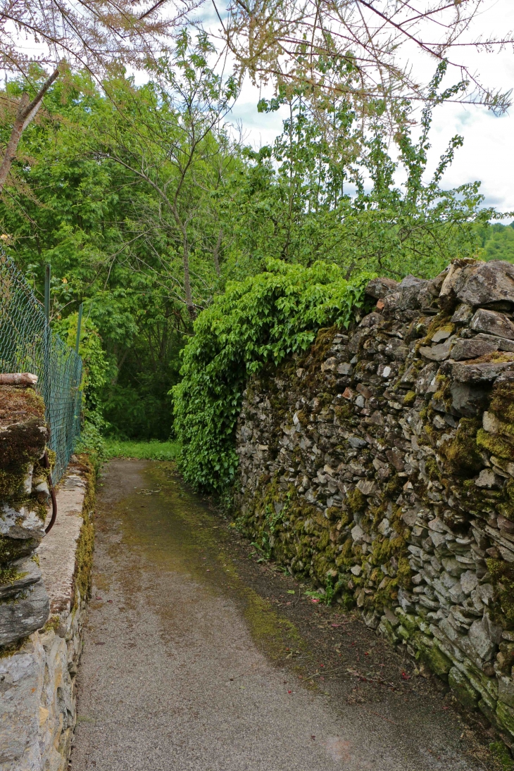 Une venelle du village. - Castelnau-de-Mandailles