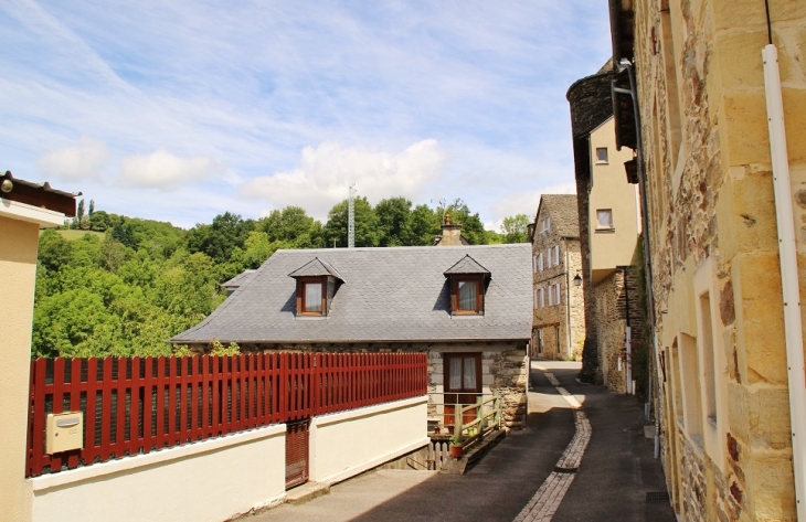 Le Village - Castelnau-de-Mandailles