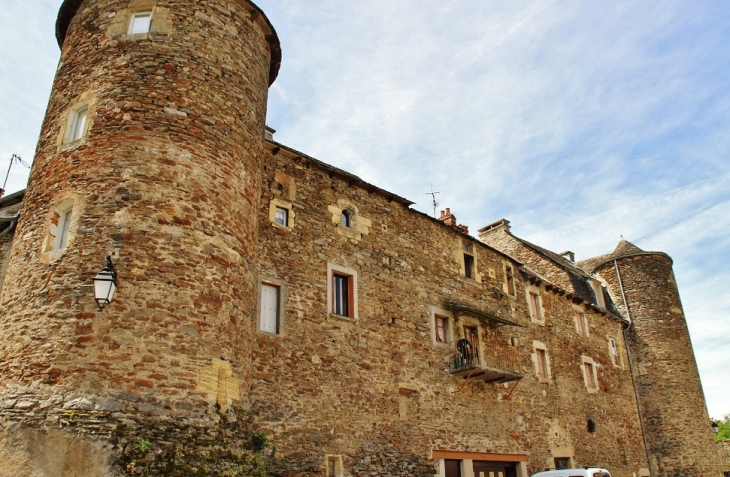 Le Château - Castelnau-de-Mandailles
