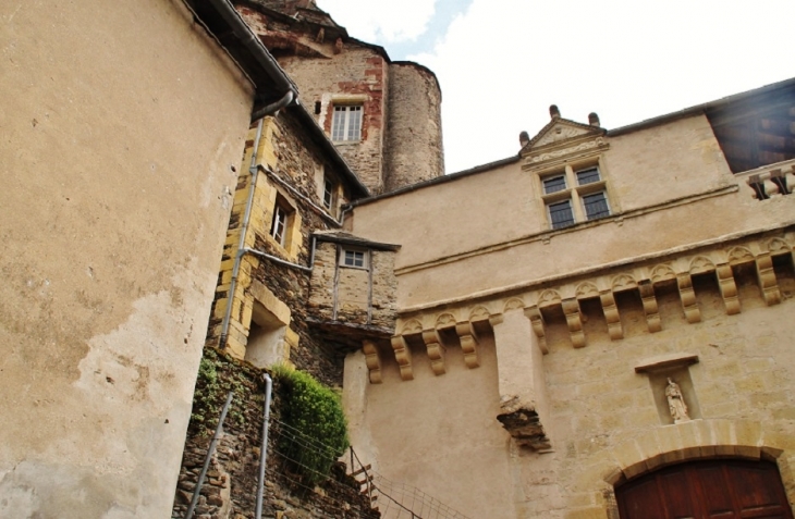 Le Château - Estaing