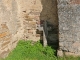 Contre le mur de l'ancienne église Saint Pierre à la Capelle Viaur.