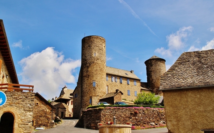 Le Château - Pomayrols