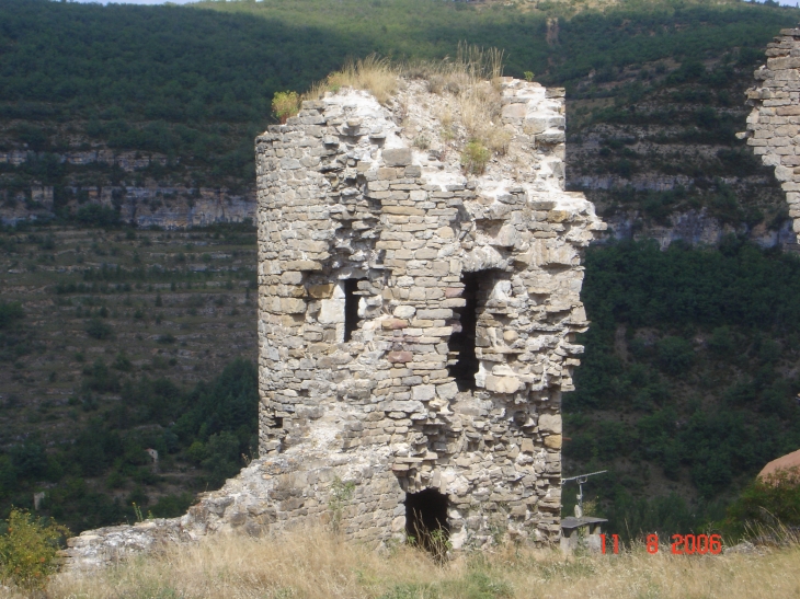 Tour chateau d'auriac dominant la vallée du tarn - Saint-Rome-de-Tarn