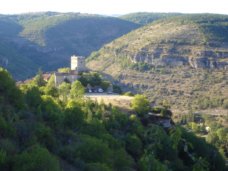 Tour chateau d'auriac dominant la vallée du tarn - Saint-Rome-de-Tarn