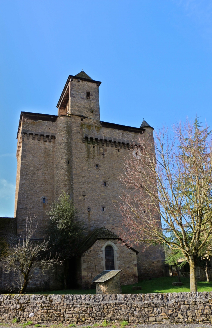 Eglise fortifiée d'Inières ou Notre Dame de la Nativité, façade nord. - Sainte-Radegonde