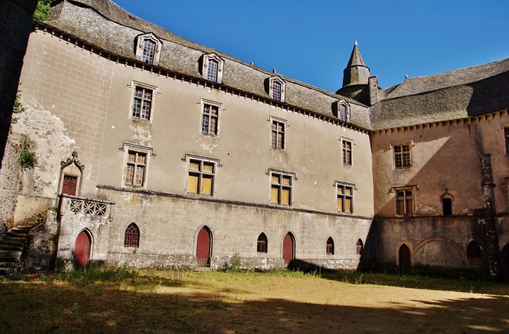 Château  - Vézins-de-Lévézou