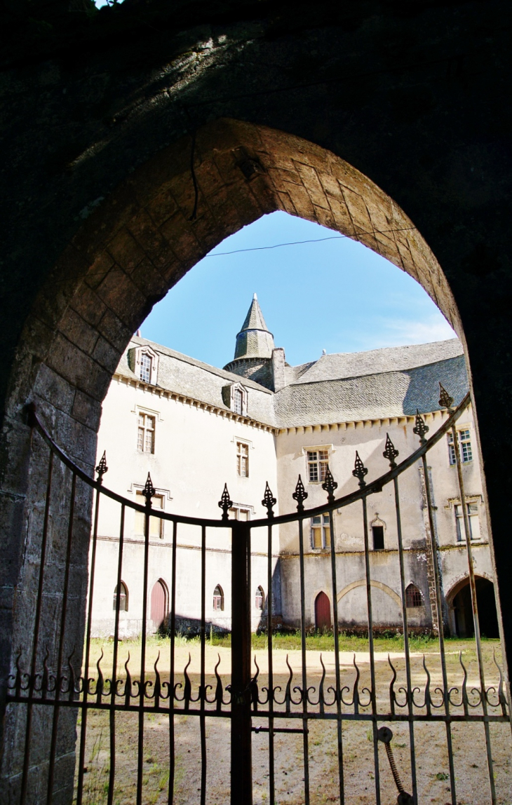 Château  - Vézins-de-Lévézou