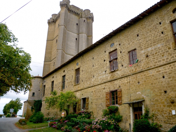 Donjon de Bassoues, jadis terre de druides, devenu un des plus beaux villages de France
