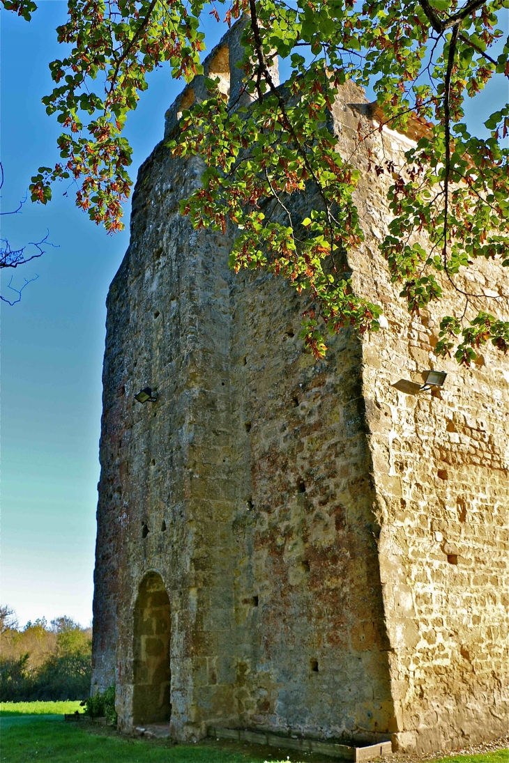 Eglise romane Saint Michel : le pignon Sud Ouest - Lamaguère