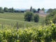 Lapujolle : village du vignoble de Saint Mont